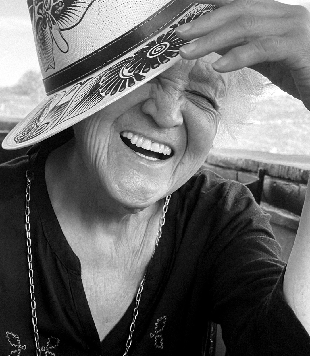 Retrato de Meneses Andonegui