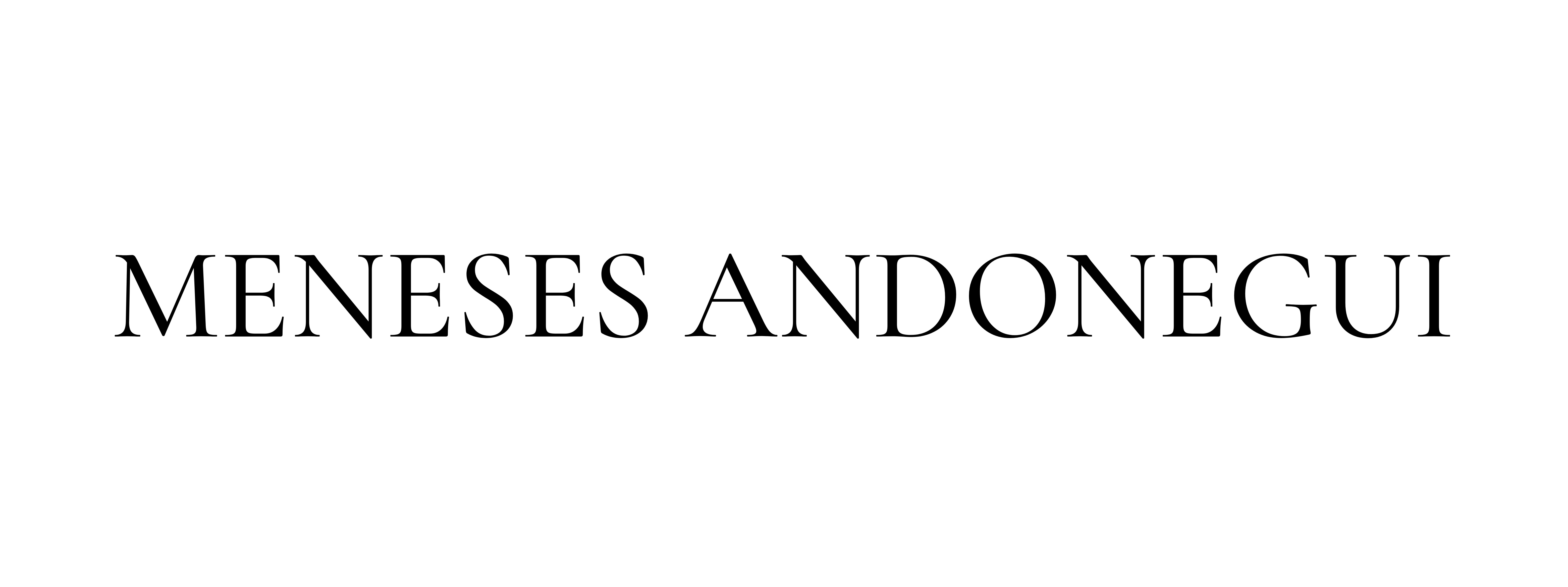 Meneses Andonegui
